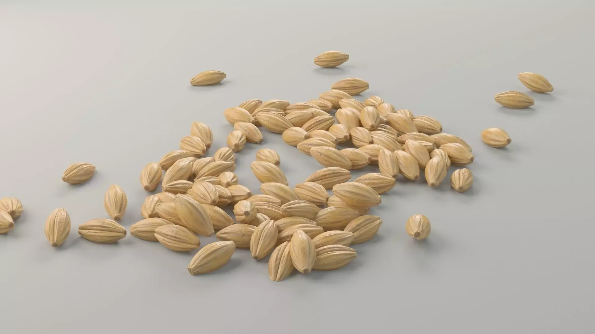 Grain grains 3D model_0