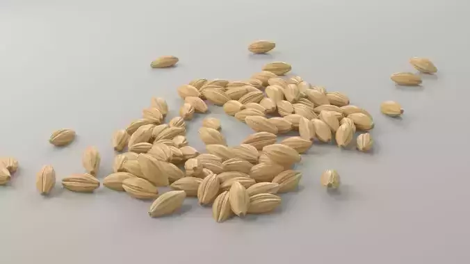 Grain grains 3D model