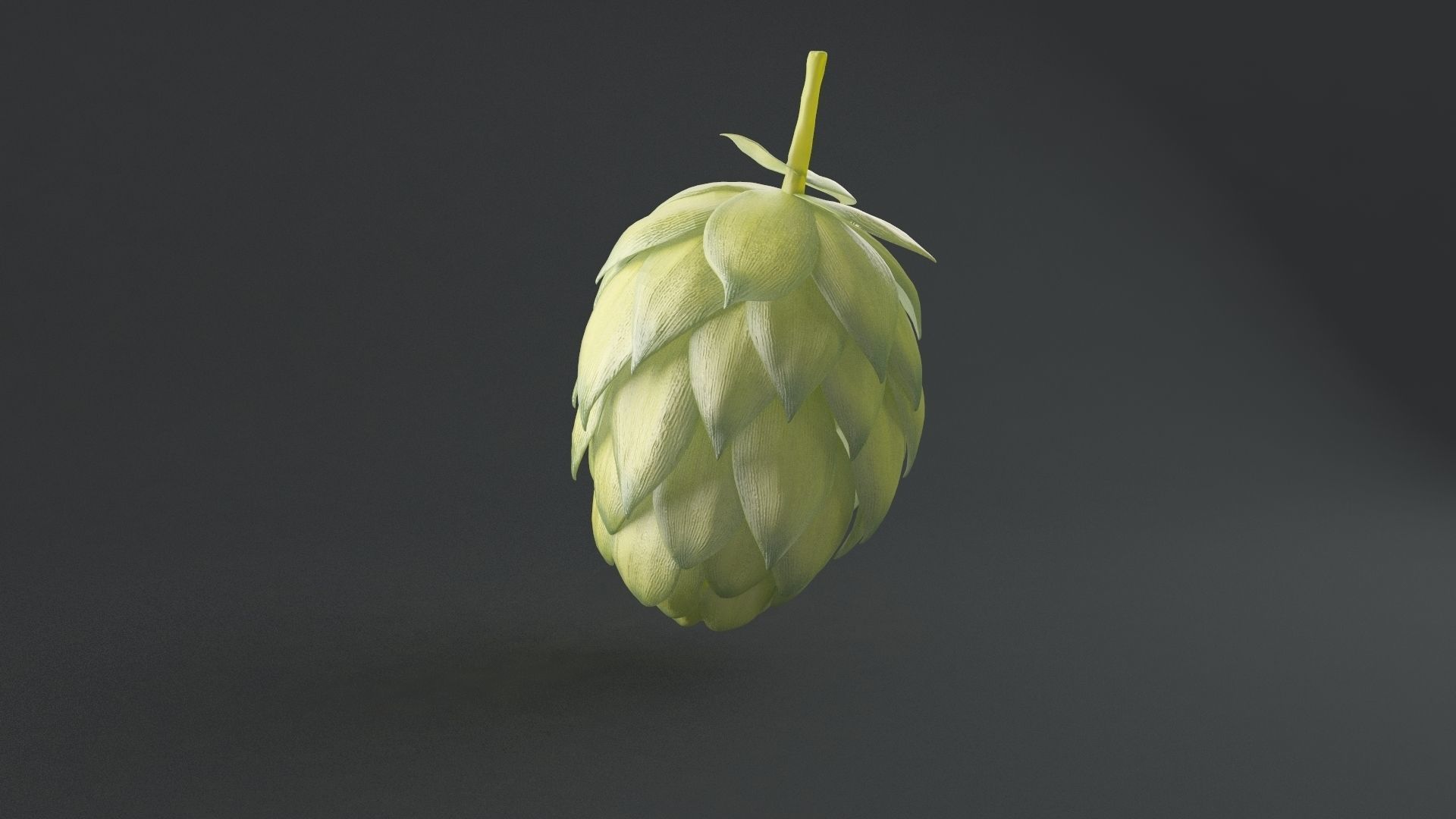 Humulus Lupulus Common Hop 3D model_1