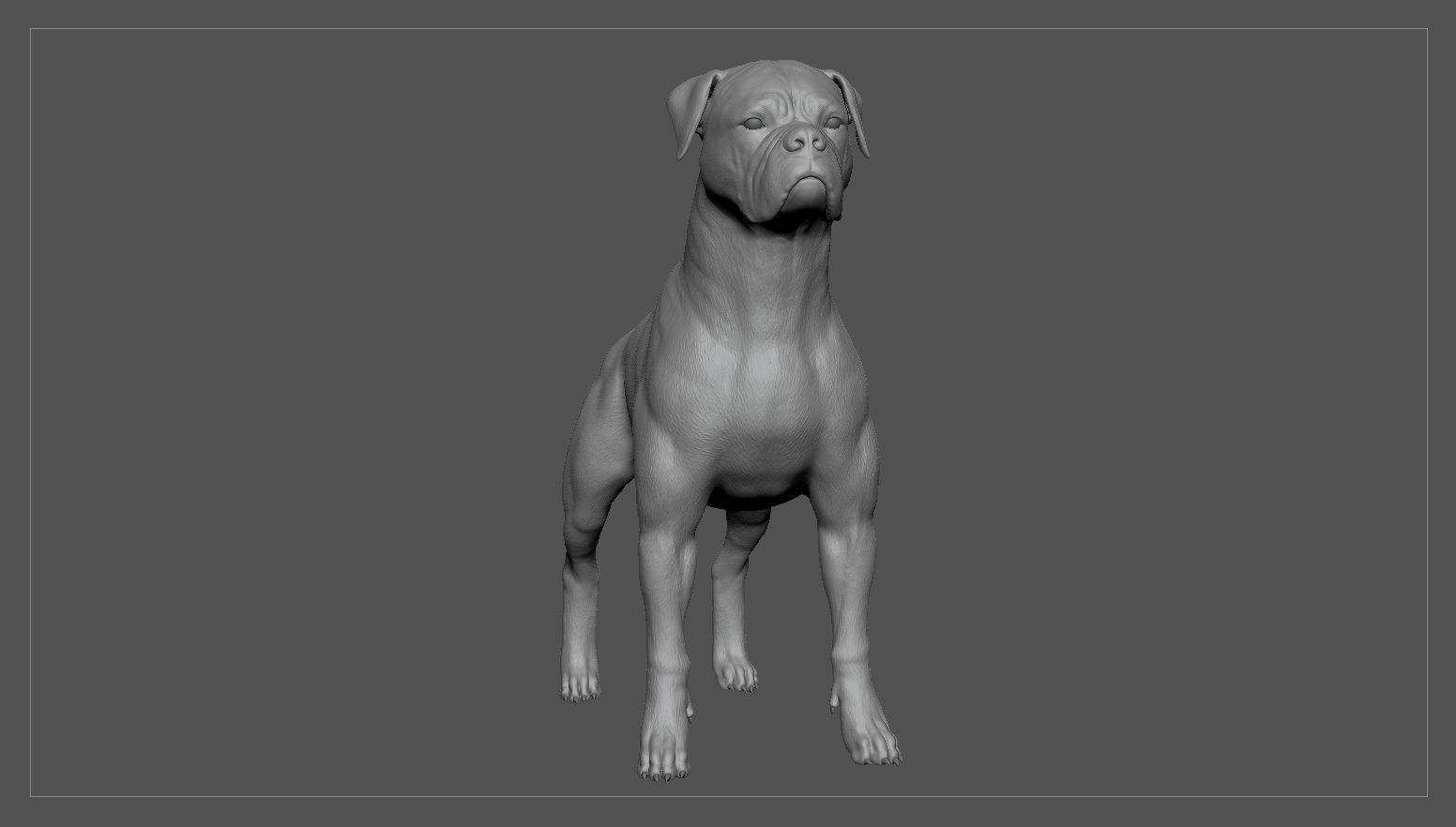 Boxer Real-Time Low-poly 3D model_30