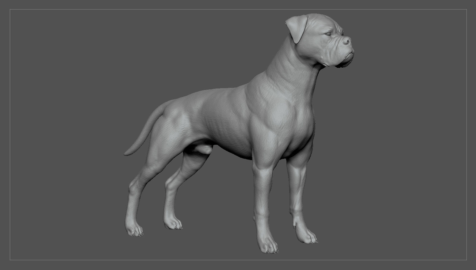 Boxer Real-Time Low-poly 3D model_29