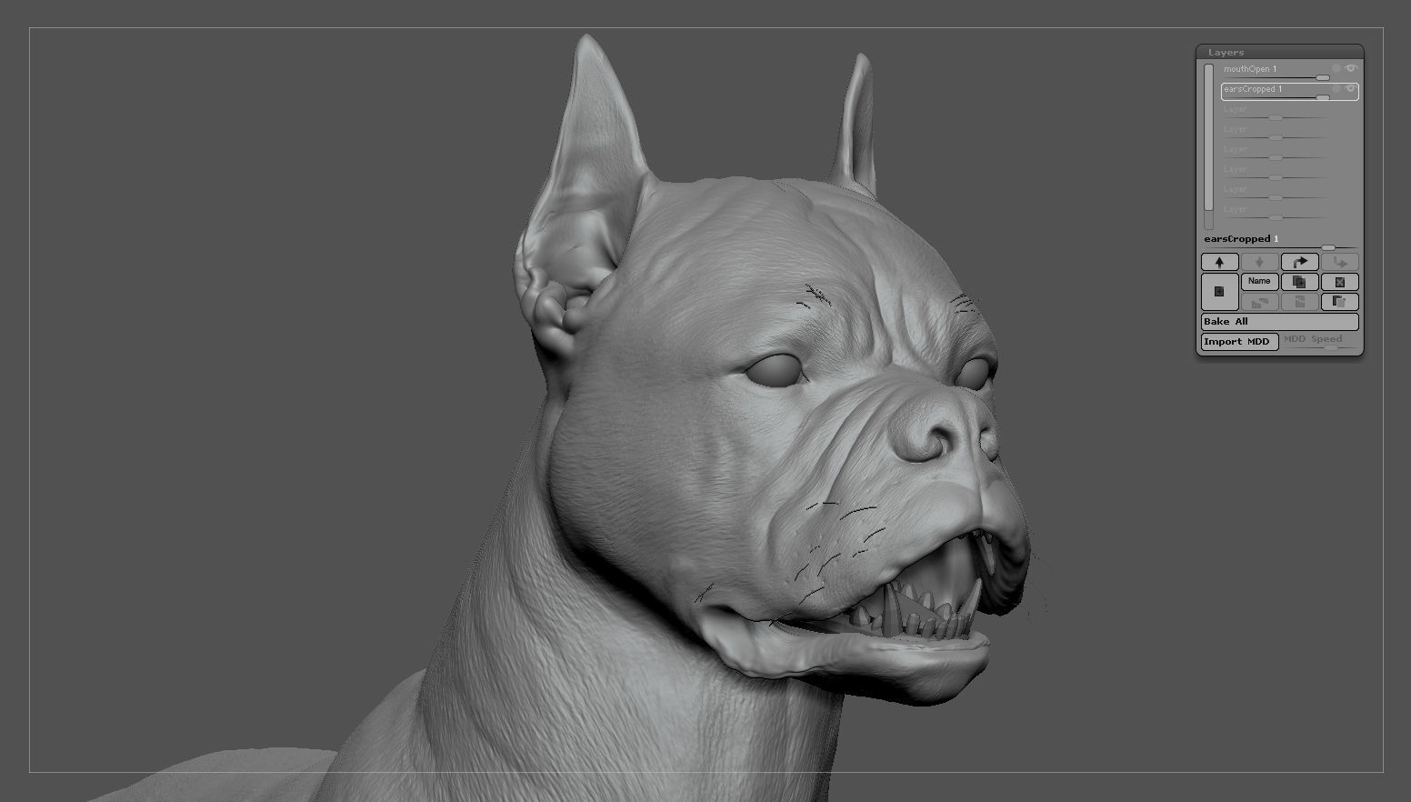Boxer Real-Time Low-poly 3D model_35