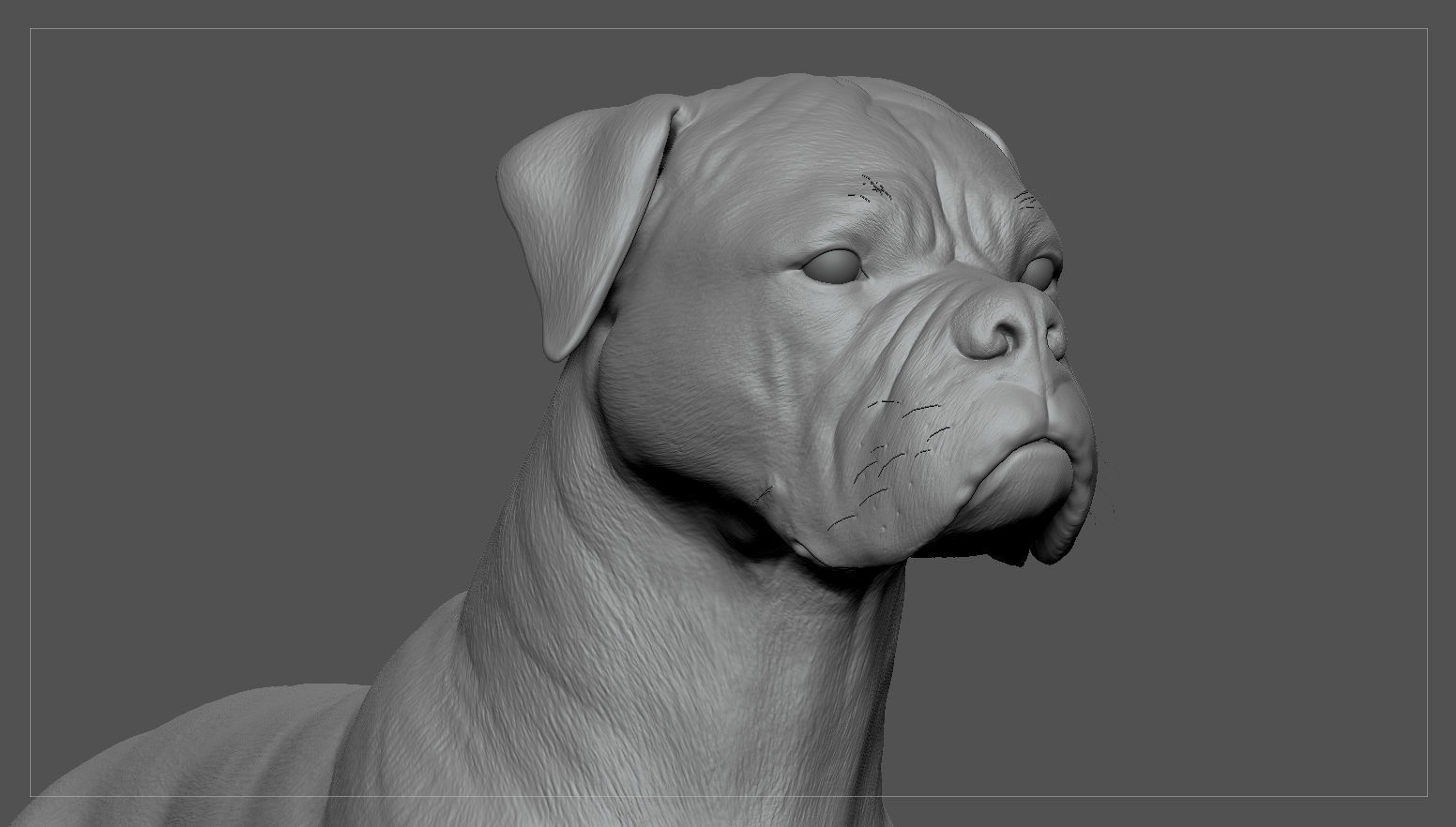 Boxer Real-Time Low-poly 3D model_34