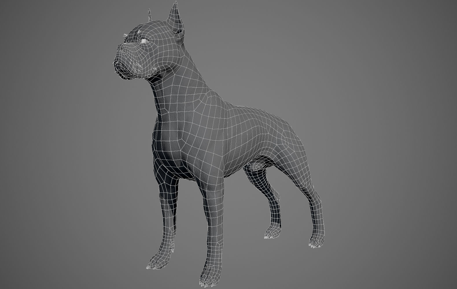 Boxer Real-Time Low-poly 3D model_25
