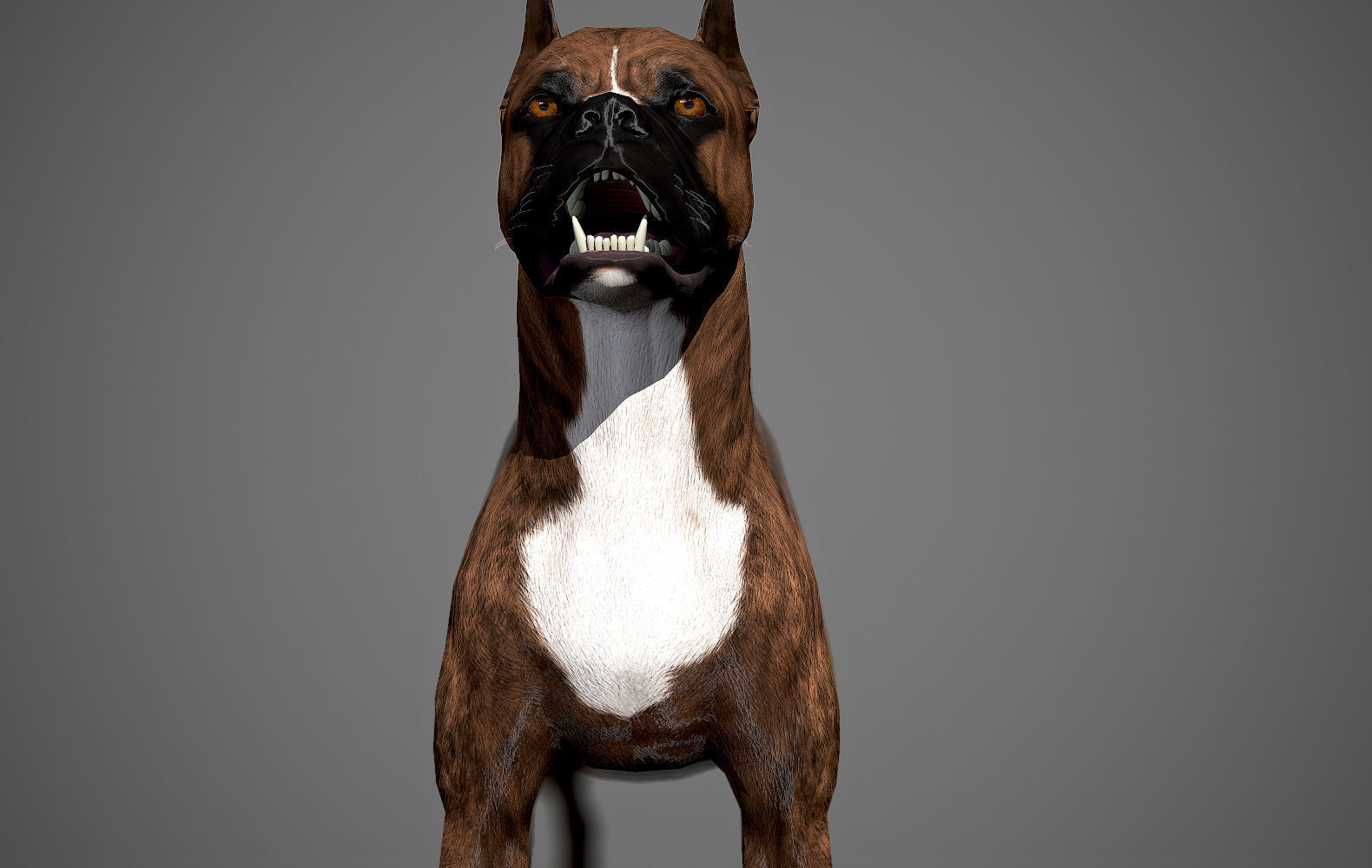 Boxer Real-Time Low-poly 3D model_13