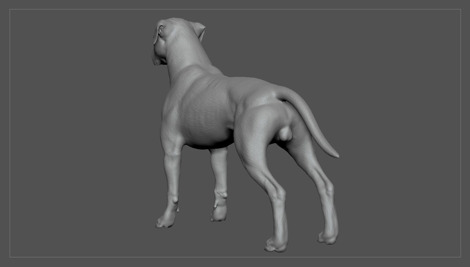 Boxer Real-Time Low-poly 3D model_33