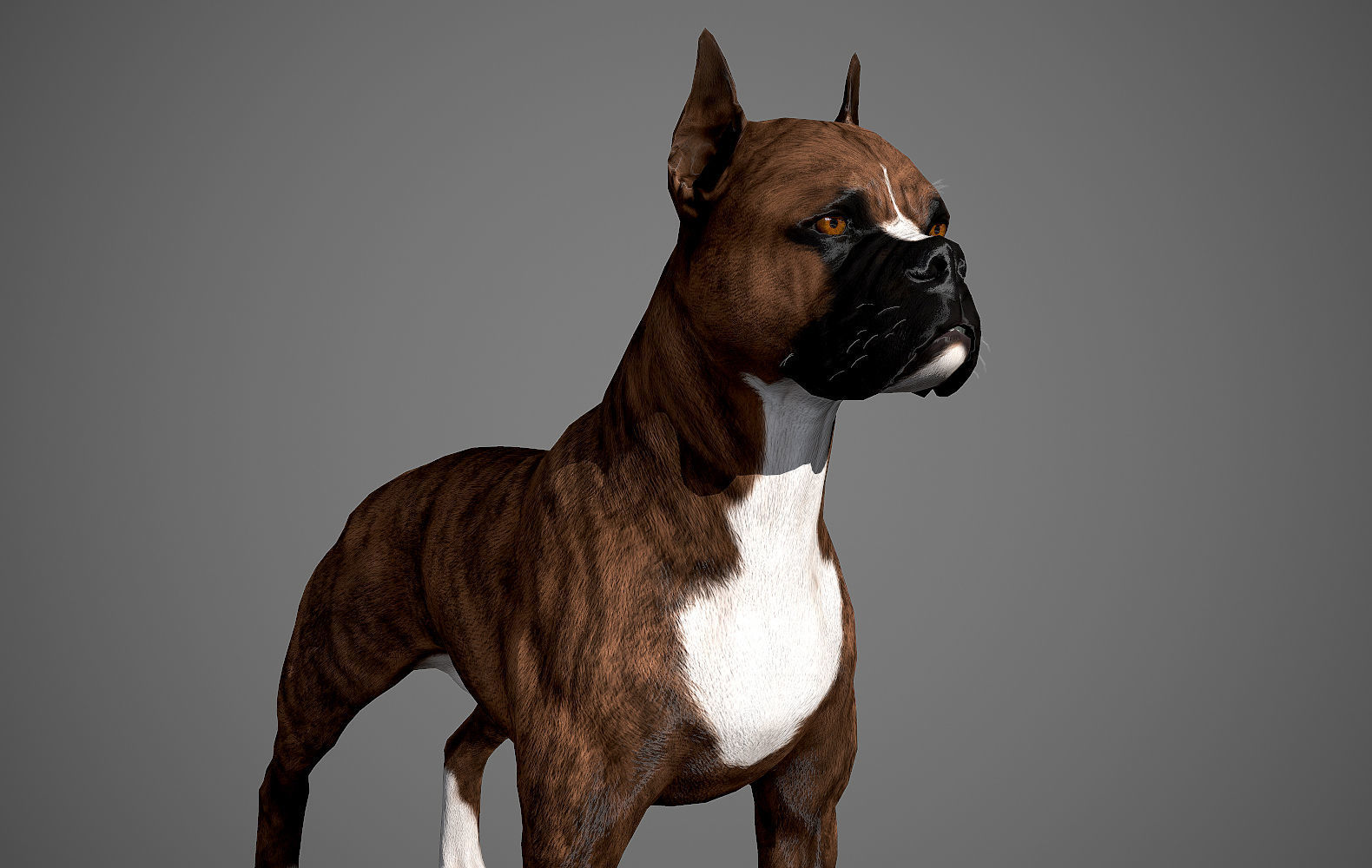 Boxer Real-Time Low-poly 3D model_10