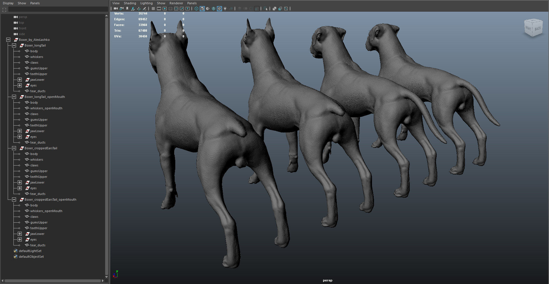Boxer Real-Time Low-poly 3D model_37