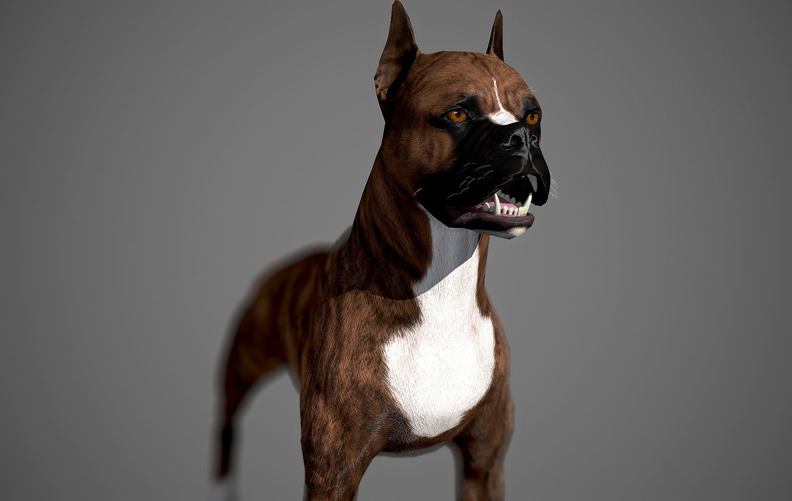 Boxer Real-Time Low-poly 3D model_12