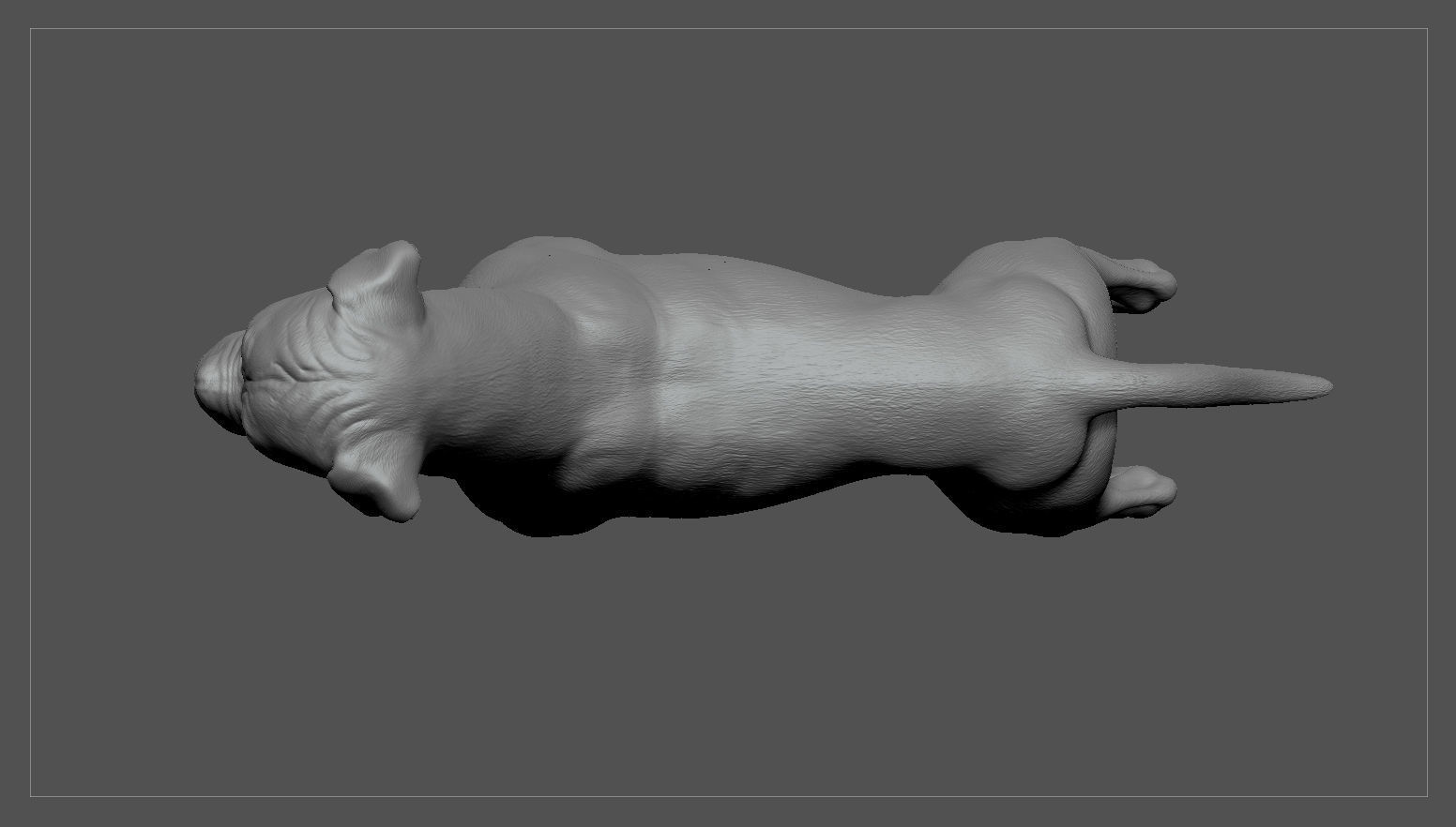 Boxer Real-Time Low-poly 3D model_32