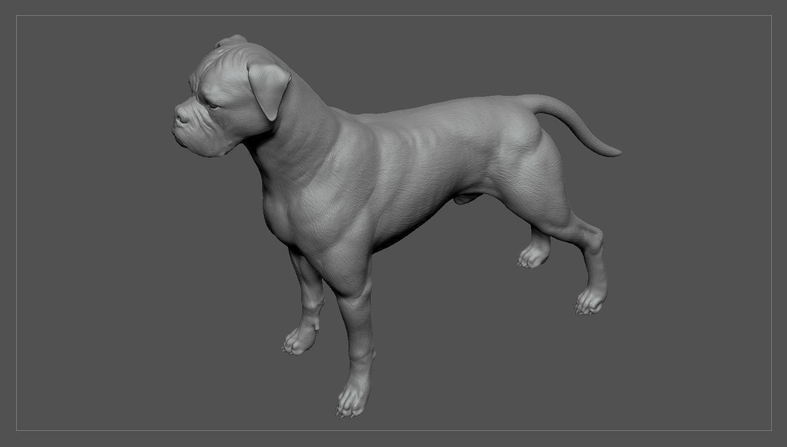 Boxer Real-Time Low-poly 3D model_31