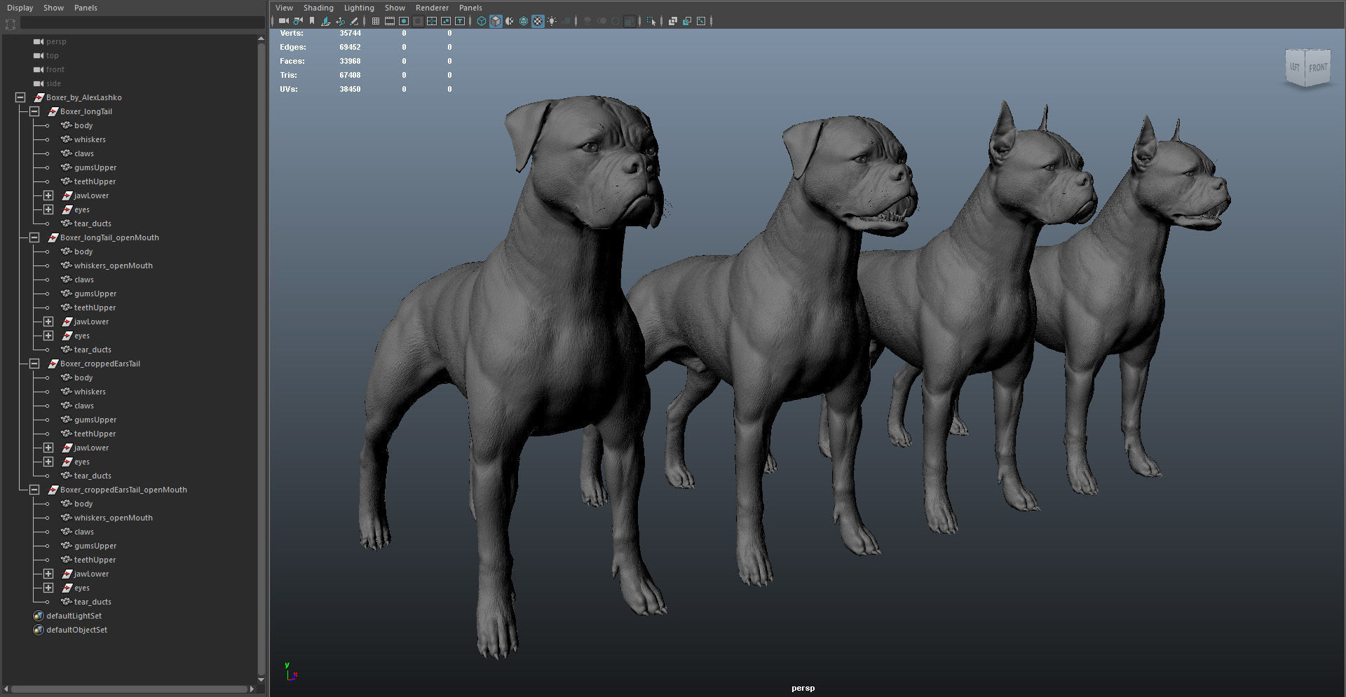 Boxer Real-Time Low-poly 3D model_36