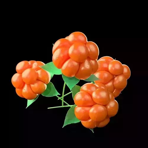 Ripe cloudberry 3D model