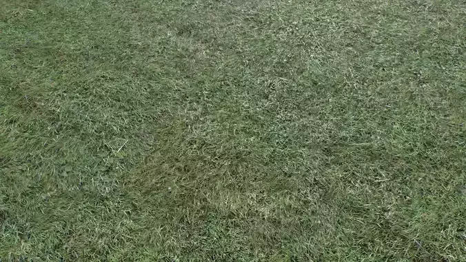 Wet Grass terrain PBR textures