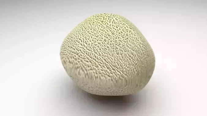 Melon 3D model