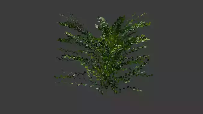 Stylized Tree set with variety of shapes 