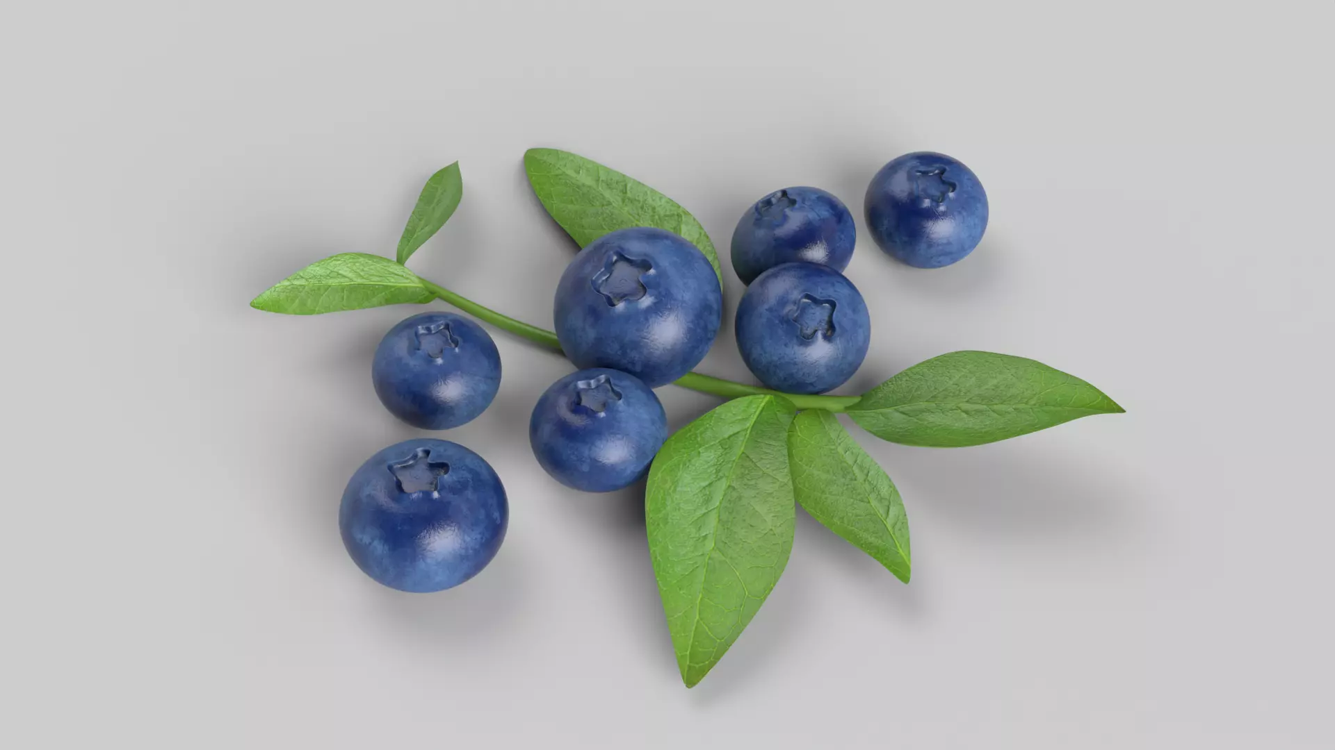 Blueberries 3D model_0