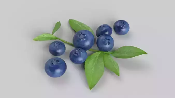 Blueberries 3D model