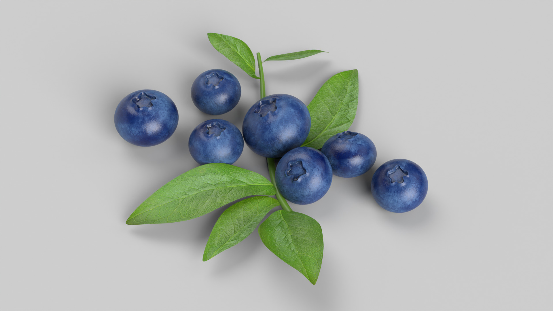 Blueberries 3D model_8