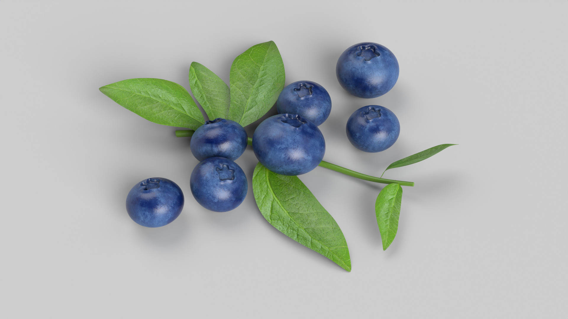 Blueberries 3D model_5