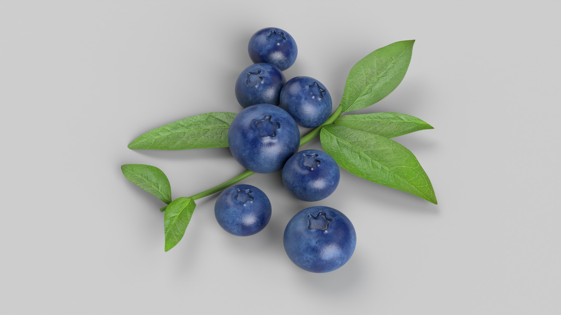 Blueberries 3D model_2