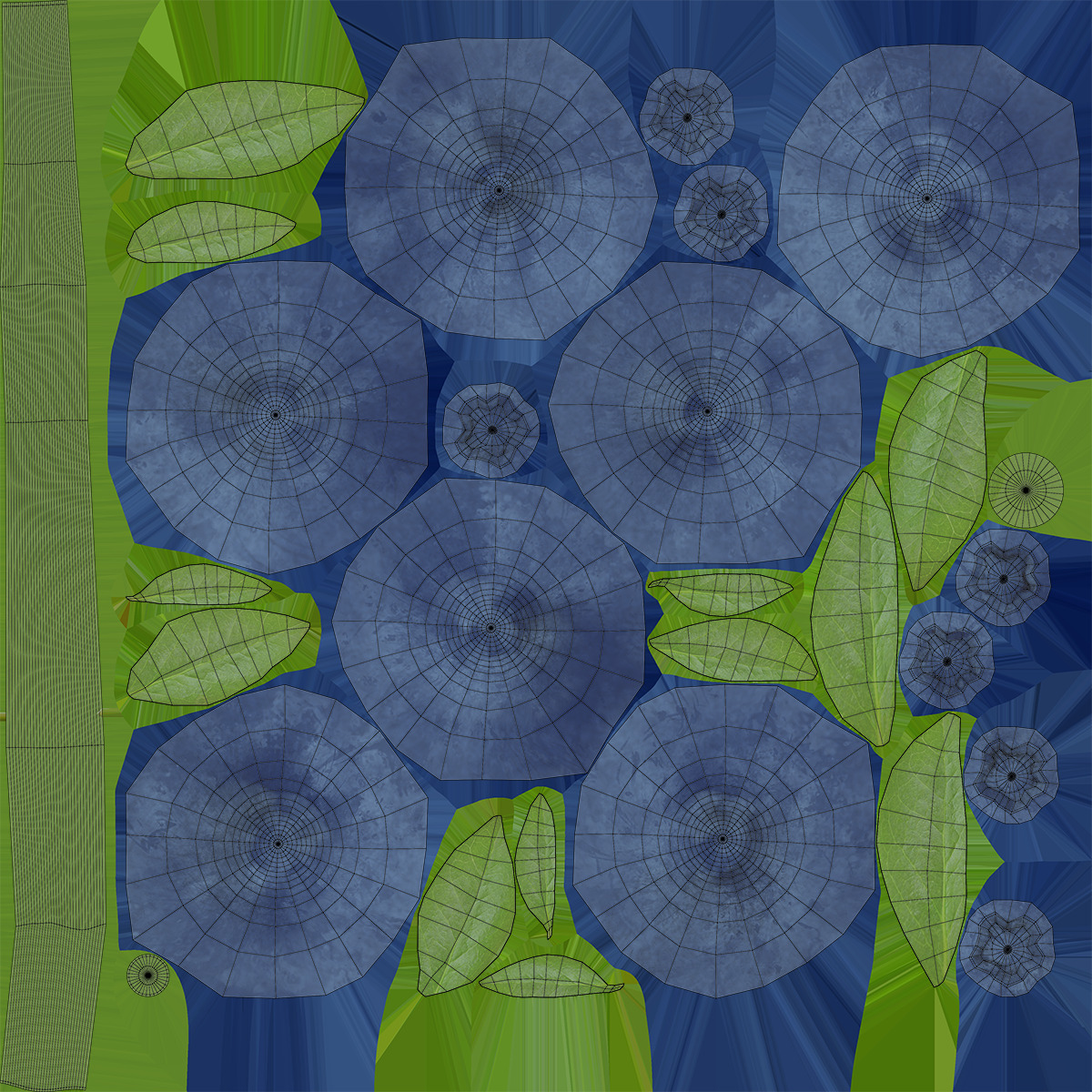 Blueberries 3D model_13