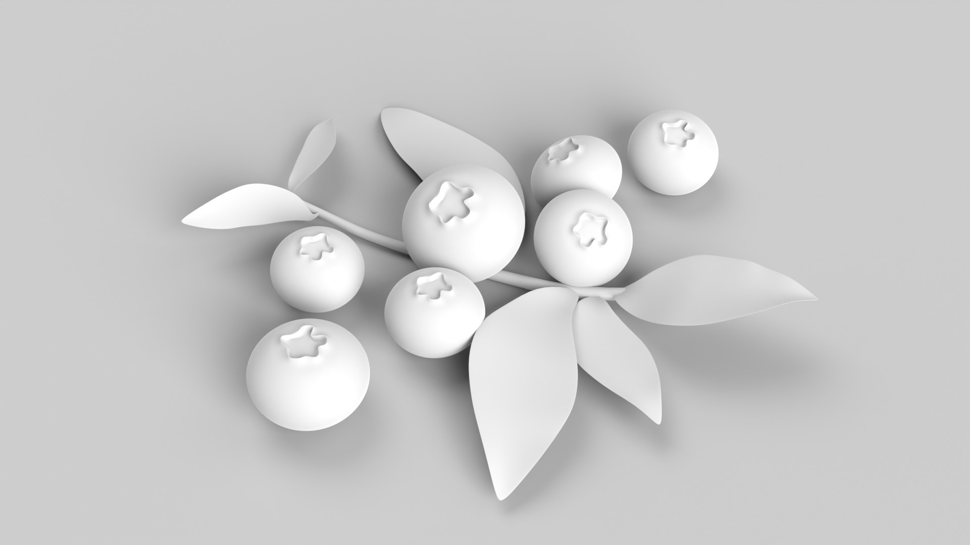 Blueberries 3D model_10
