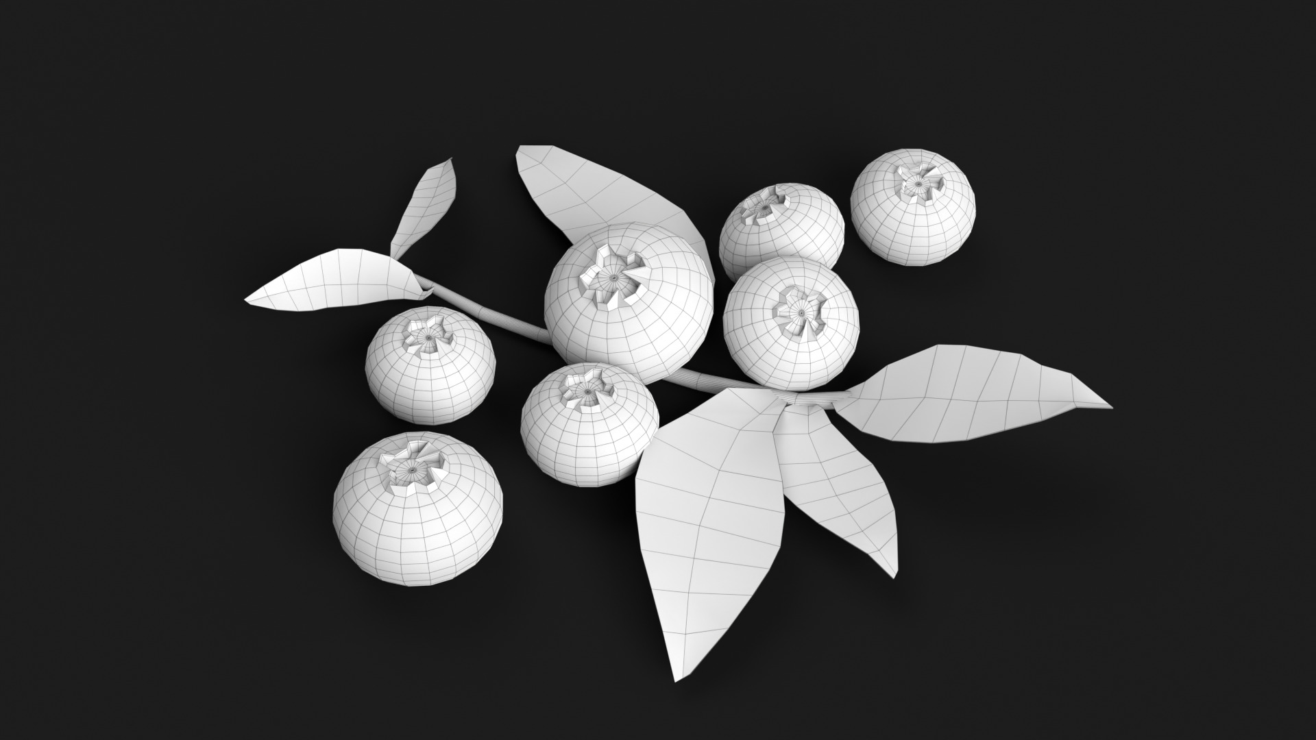 Blueberries 3D model_11