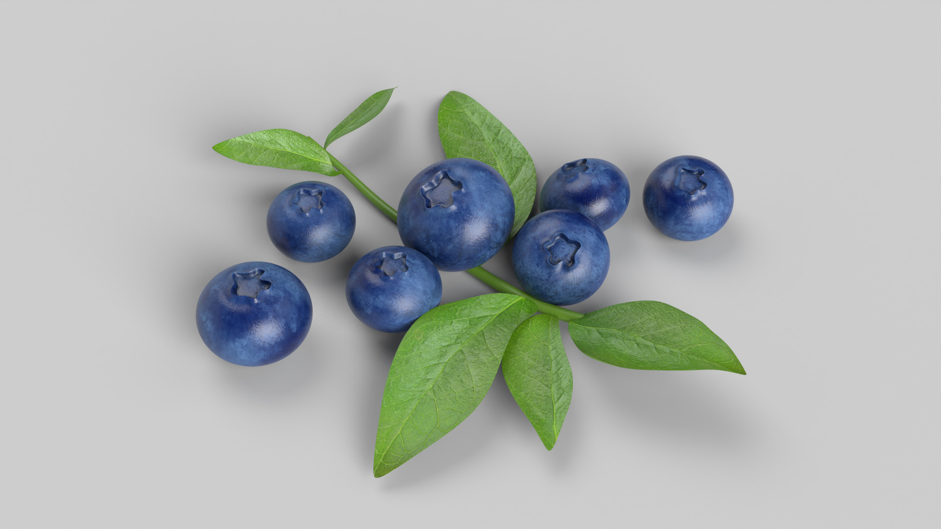 Blueberries 3D model_9