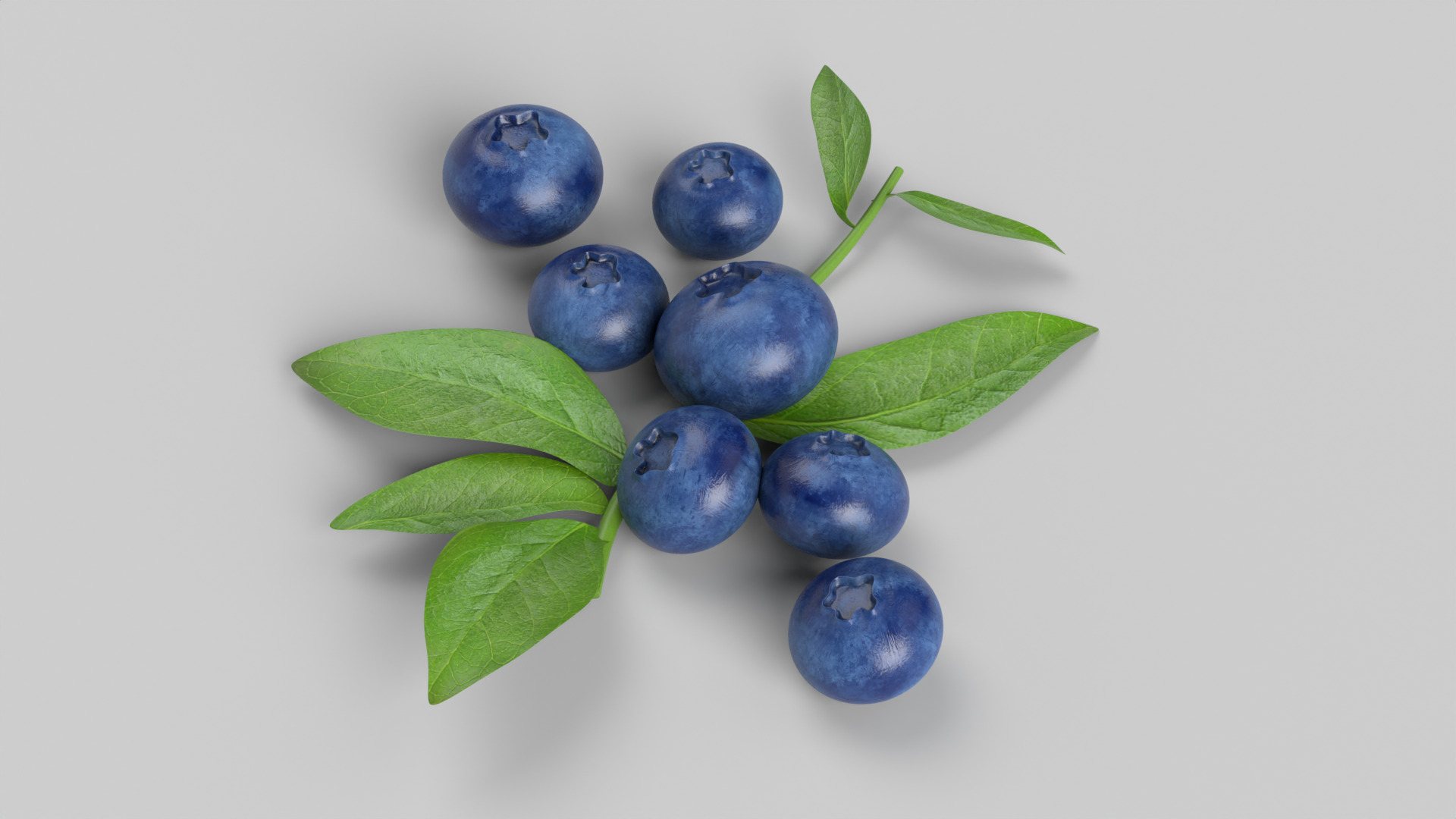 Blueberries 3D model_7