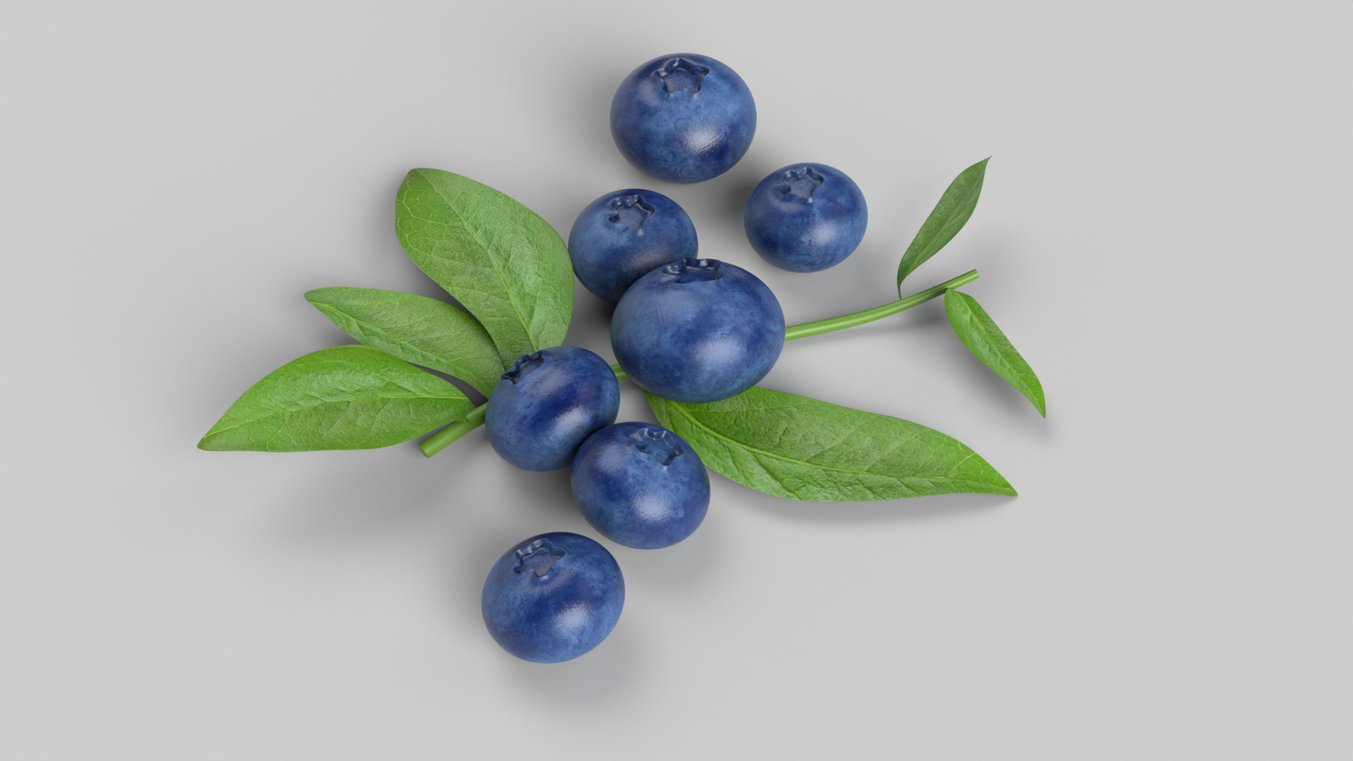 Blueberries 3D model_6