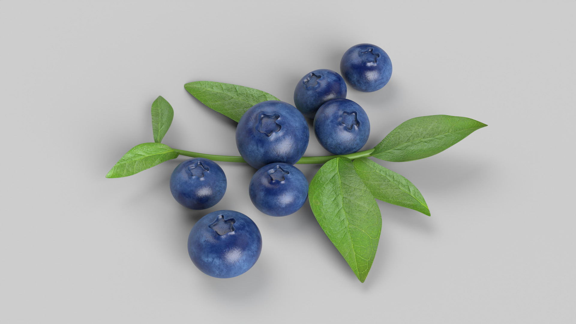 Blueberries 3D model_1
