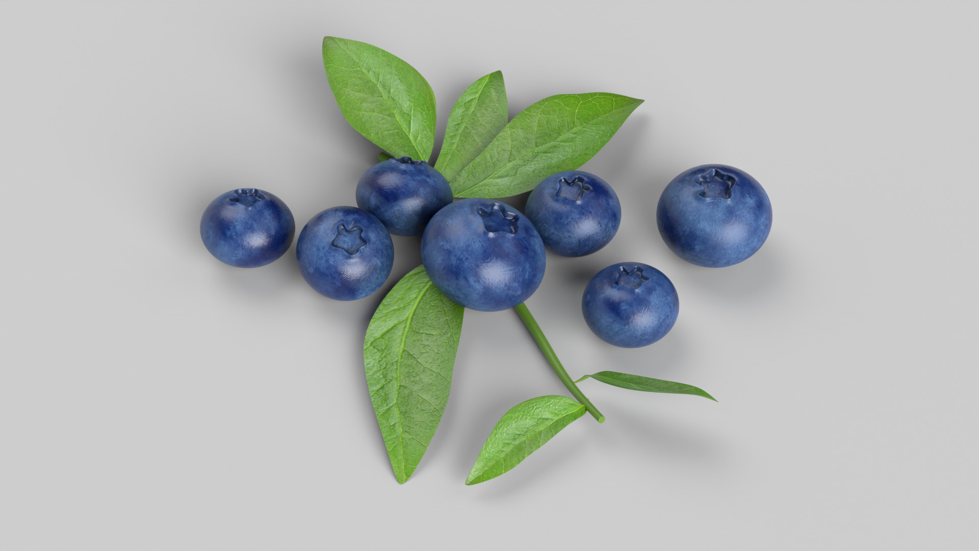 Blueberries 3D model_4