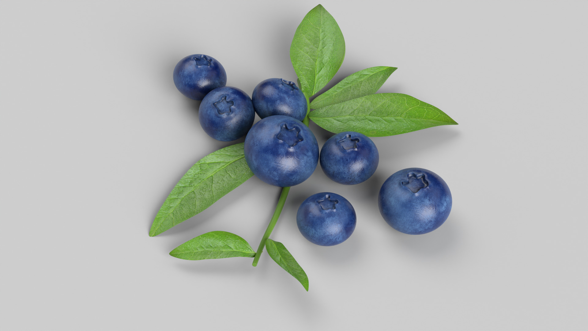 Blueberries 3D model_3