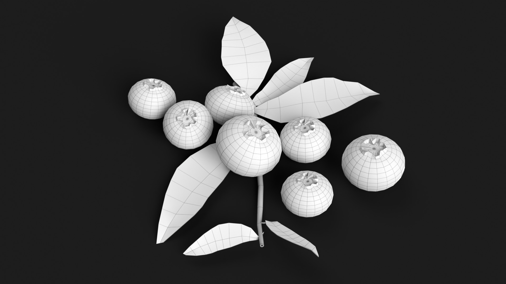 Blueberries 3D model_12