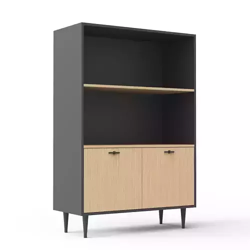 Codney Cabinet 3D model
