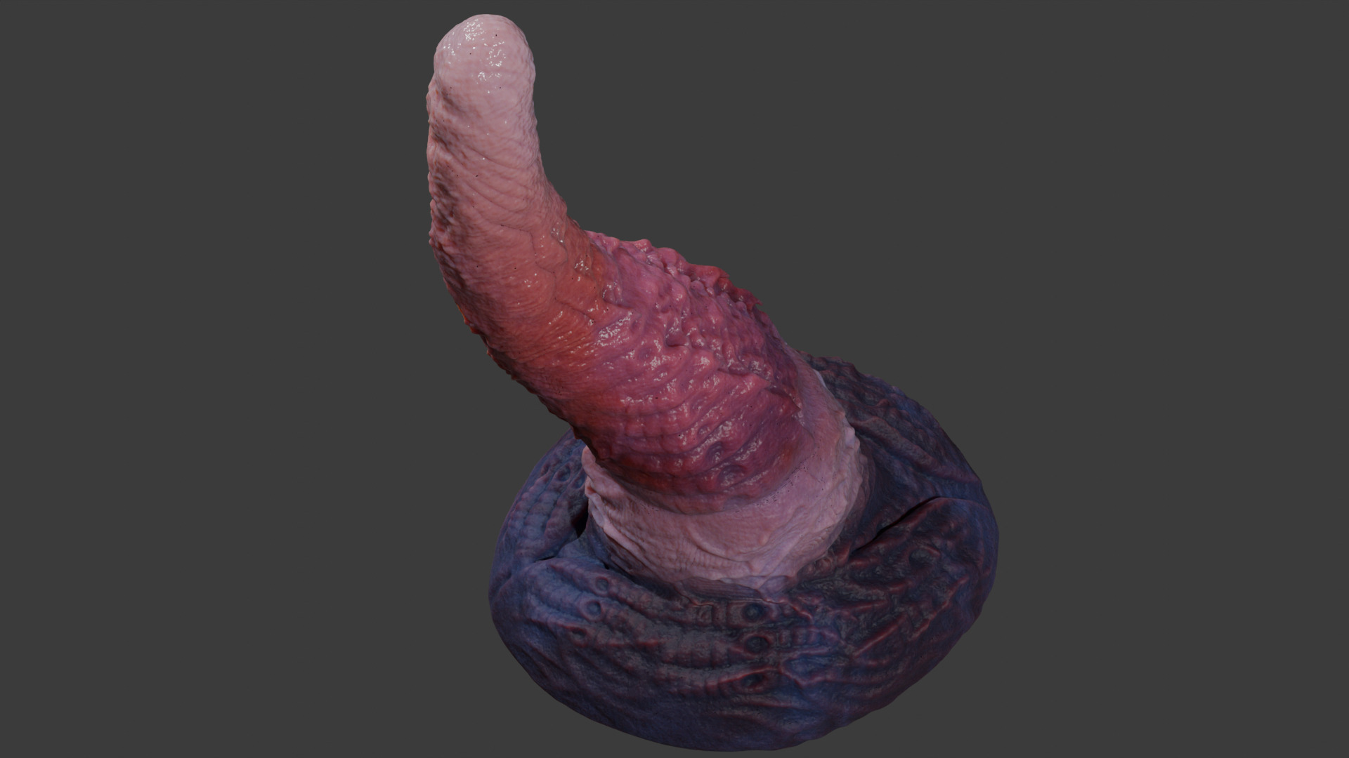 Alien Tentacle Toy Rigged Lowpoly and Highpoly Low-poly 3D model_13