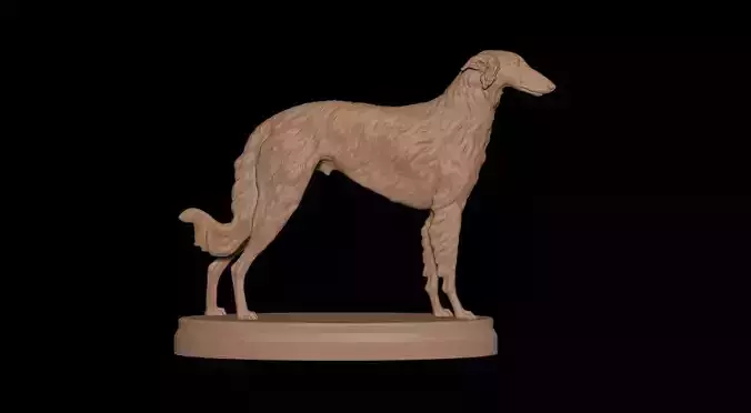 Borzoi