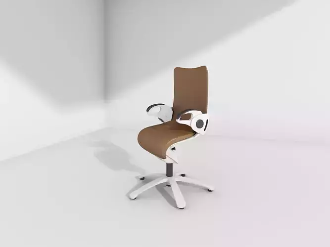 Ergonomic chair