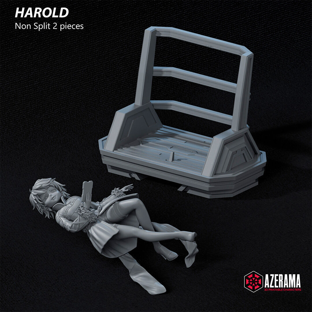 Harold STL Ready for 3D Printing 3D print model_8