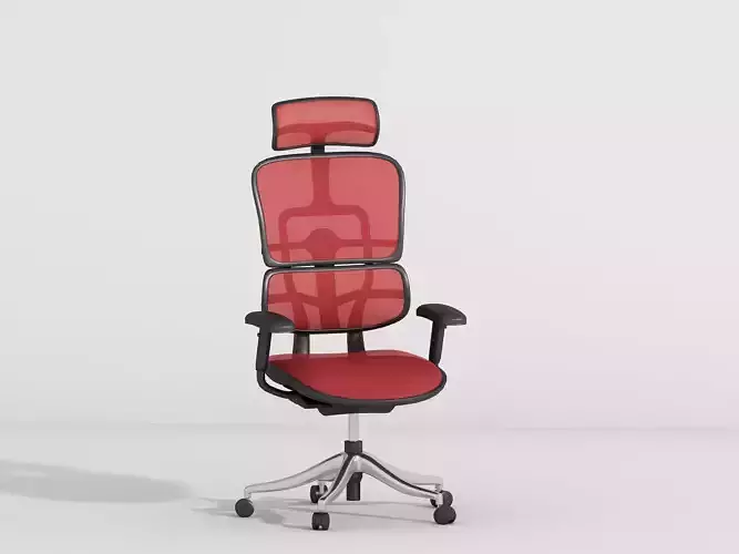 ergonomic chair