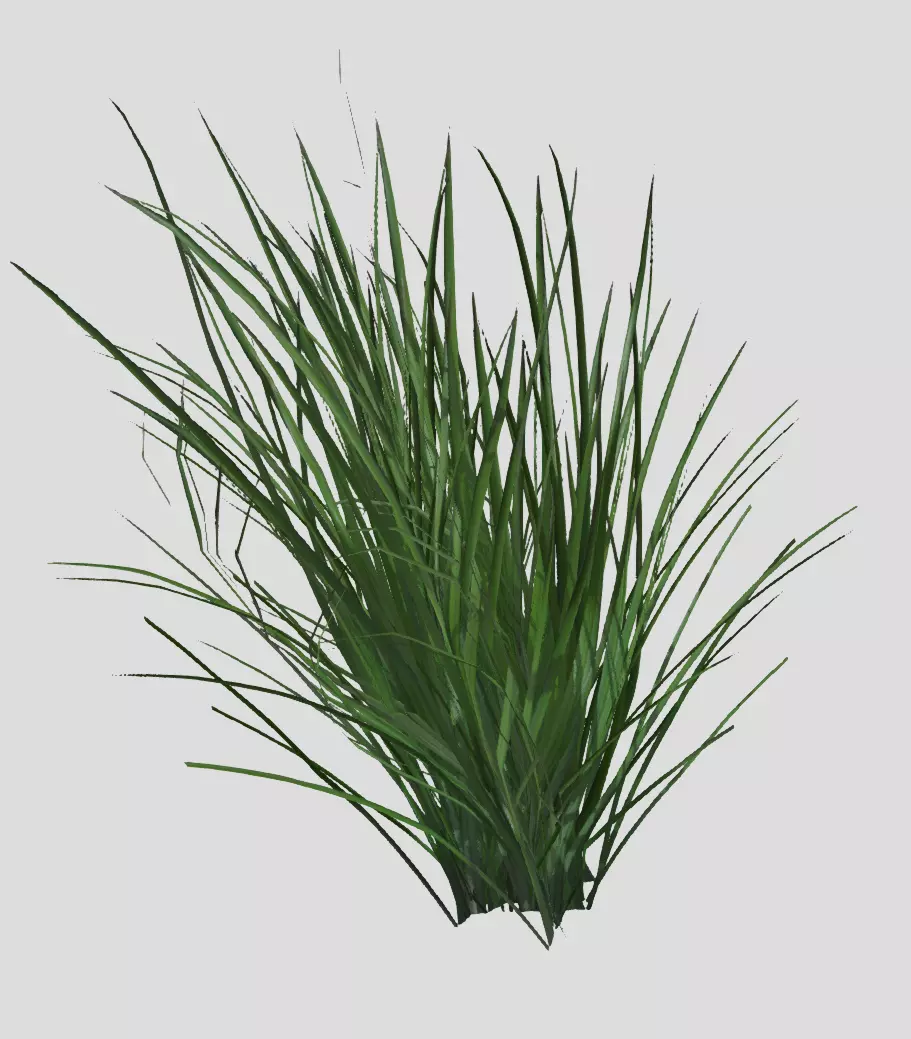 Grass Bursh Displacement Free 3D model