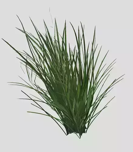 Grass Bursh Displacement