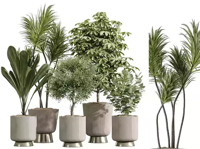 AV Indoor Plants Set 250