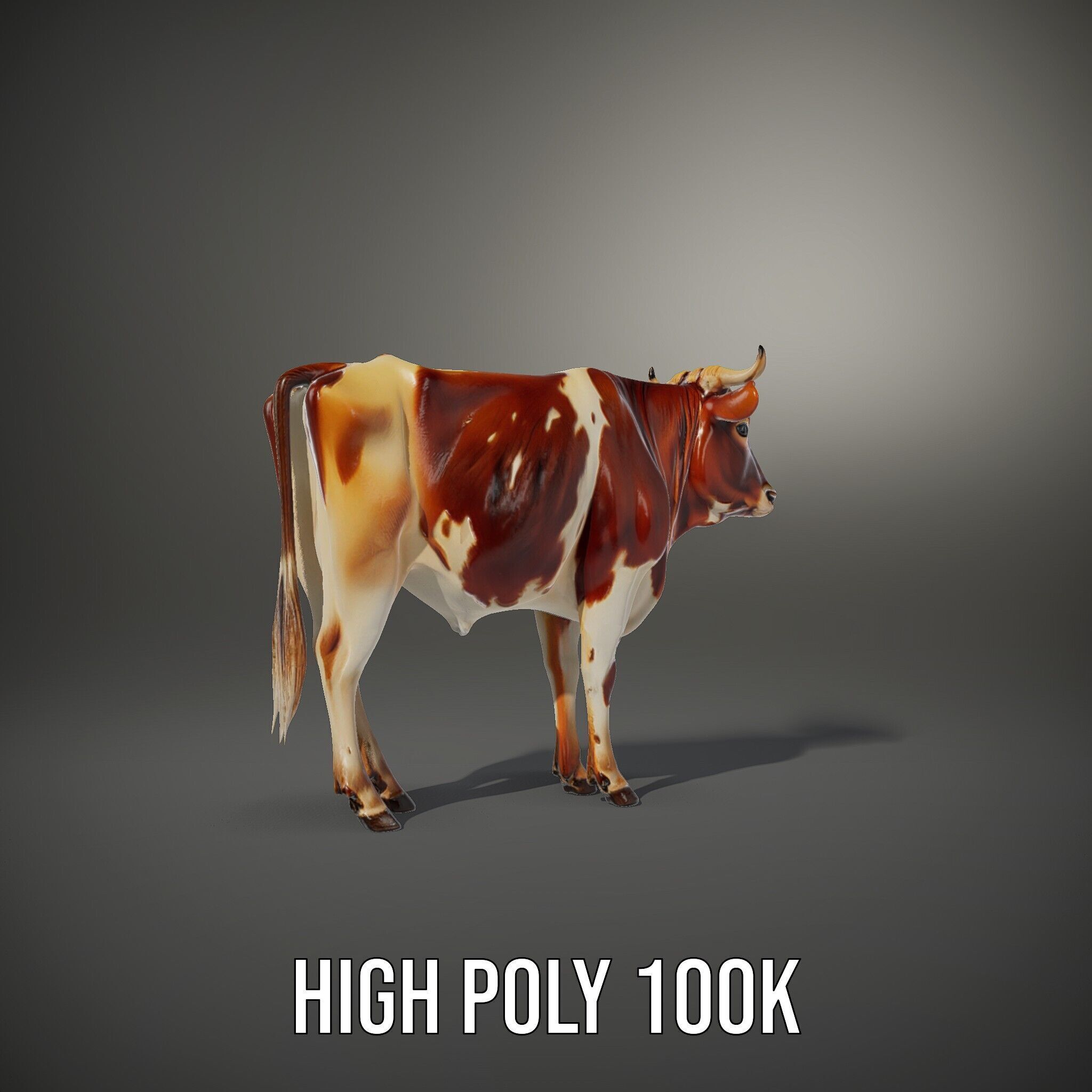 Realistic Cow model pack for animation and games Low-poly 3D model_9