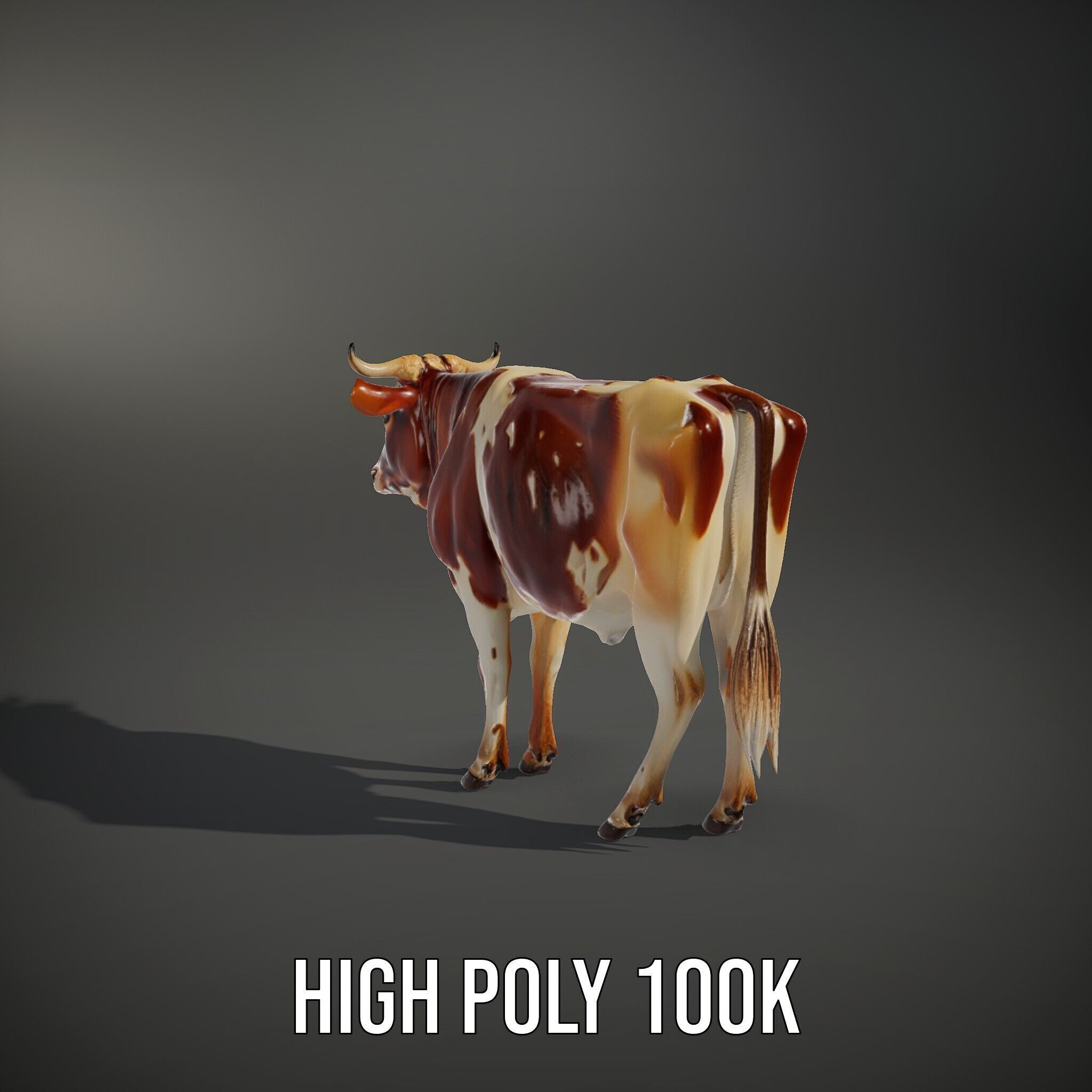 Realistic Cow model pack for animation and games Low-poly 3D model_12