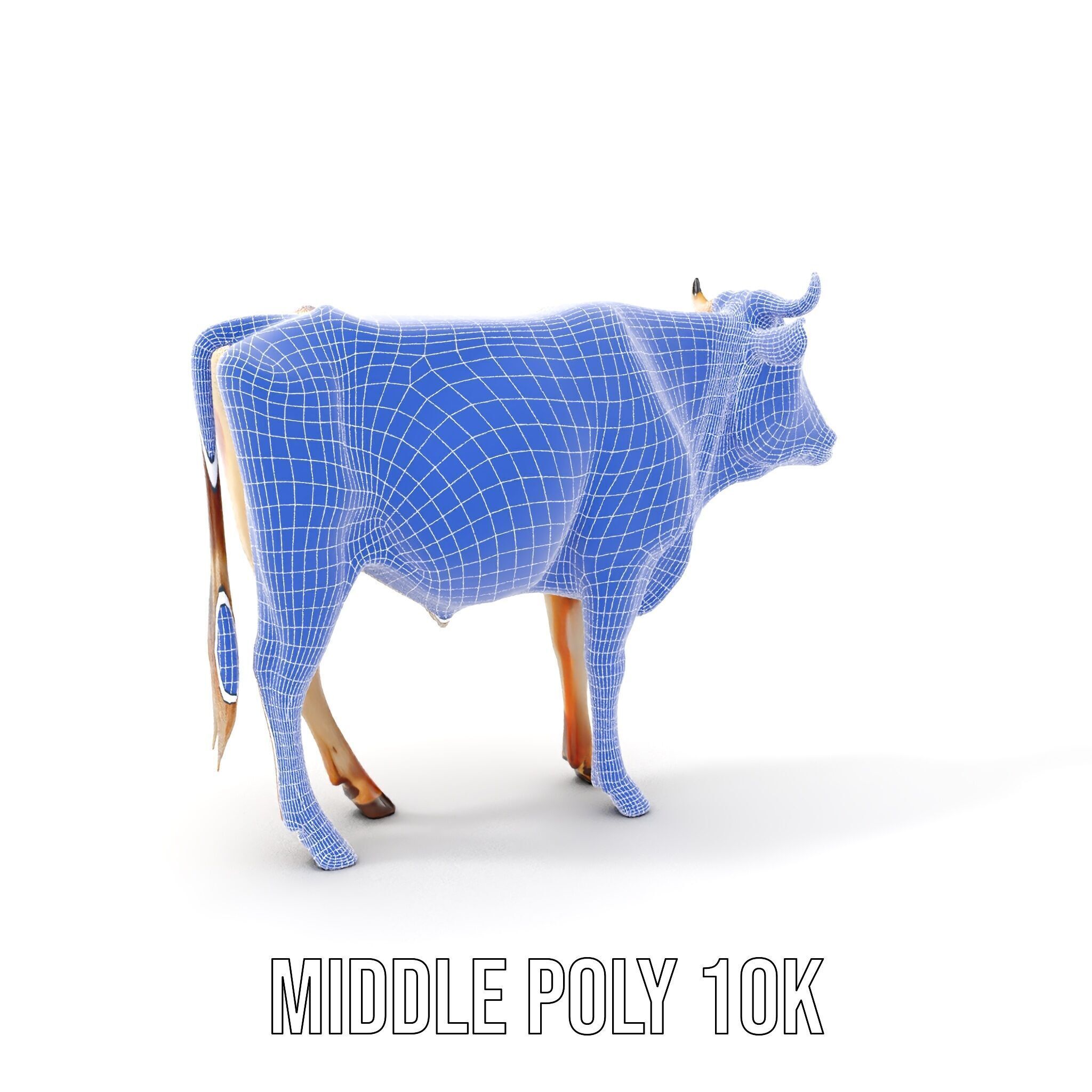 Realistic Cow model pack for animation and games Low-poly 3D model_20