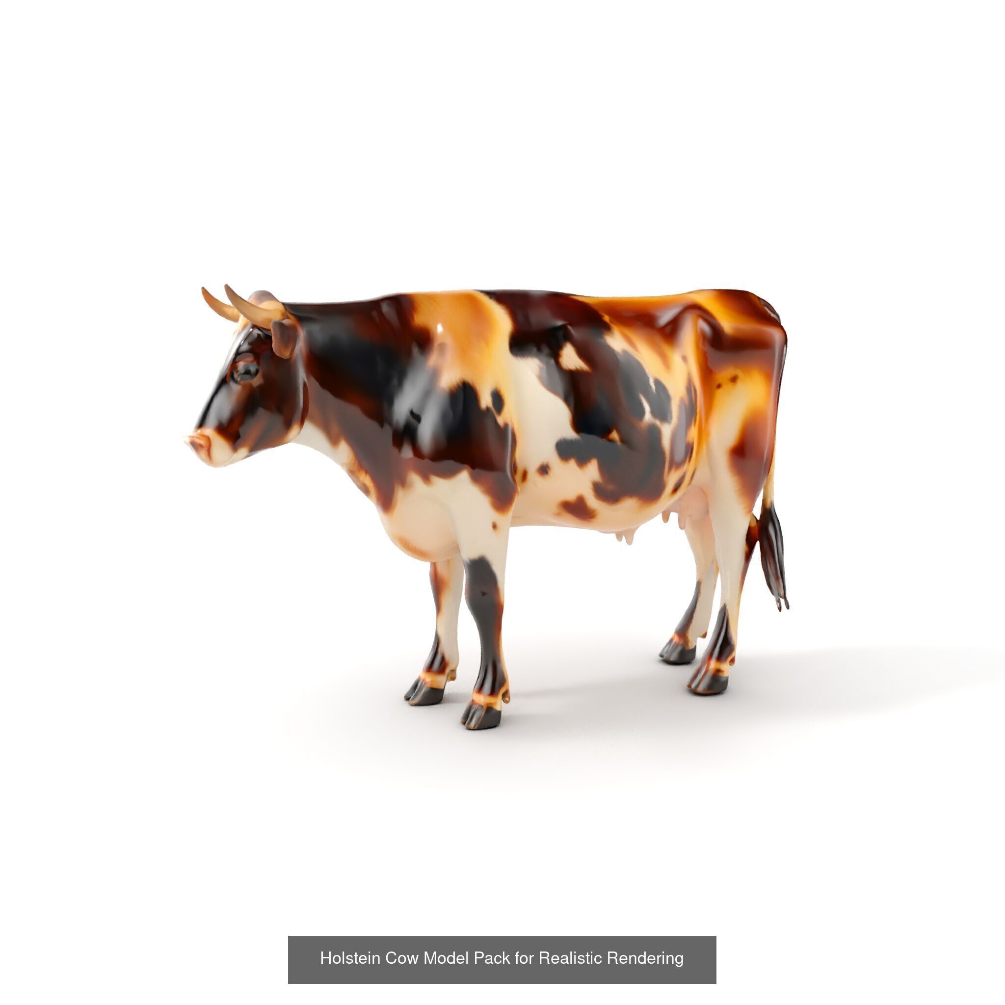 Multicolor Cow Models Pack 3D Model Collection_32