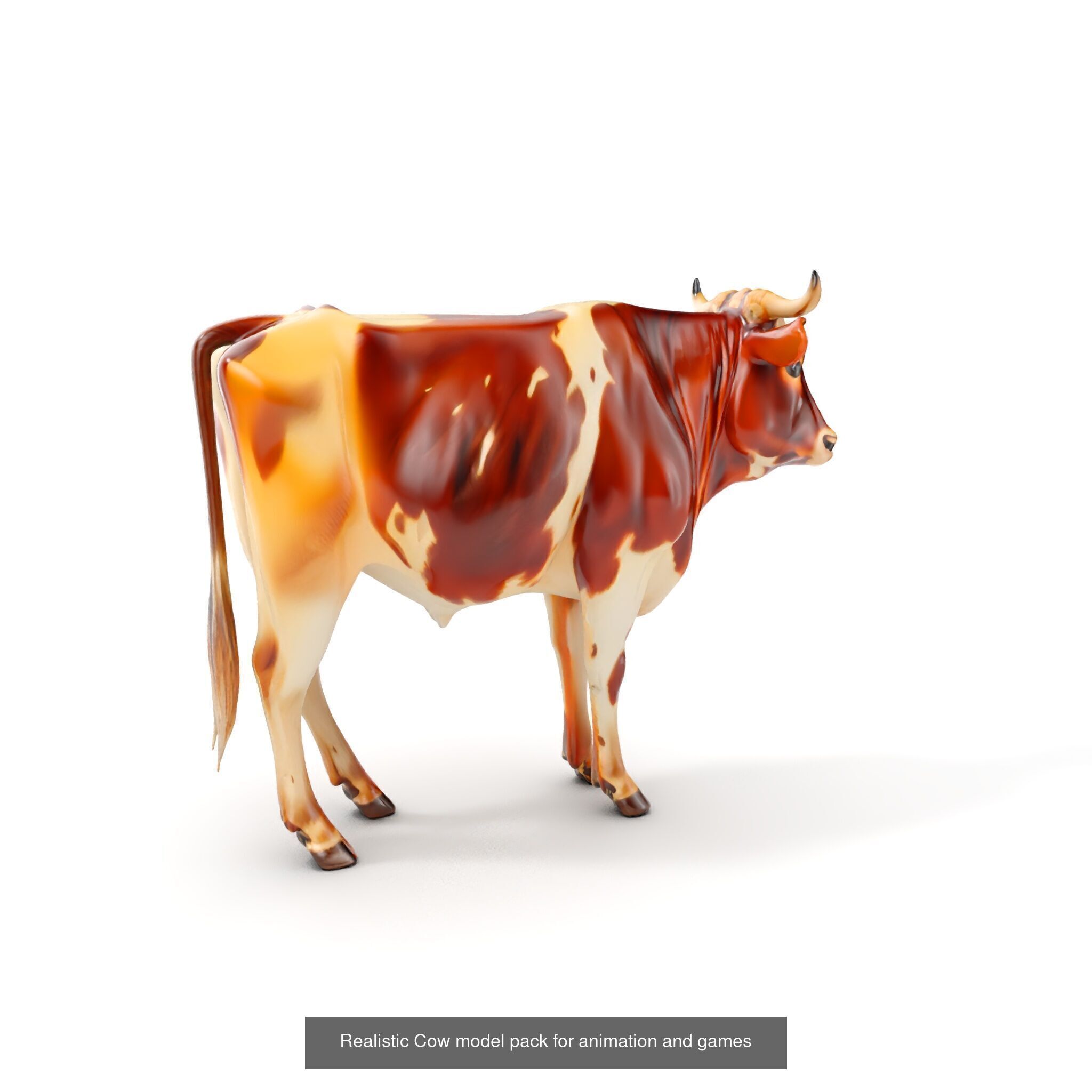 Multicolor Cow Models Pack 3D Model Collection_40