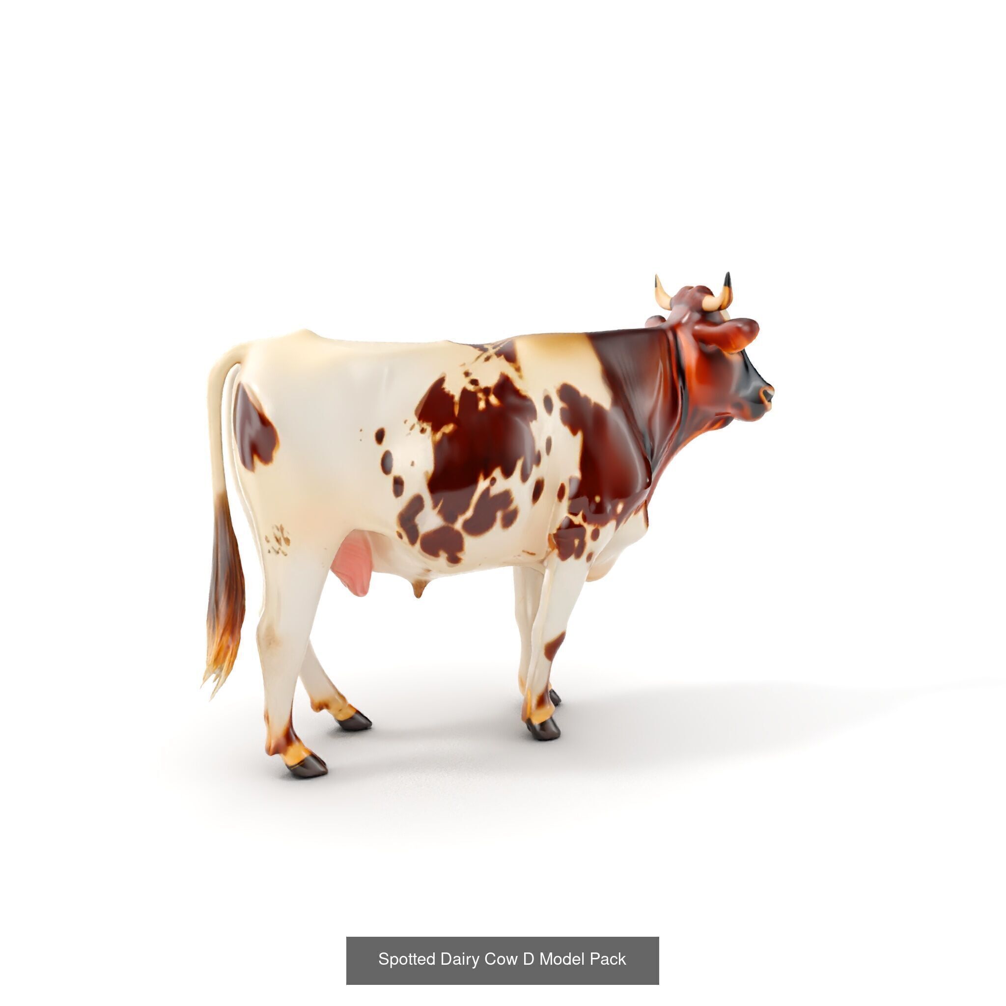 Multicolor Cow Models Pack 3D Model Collection_29